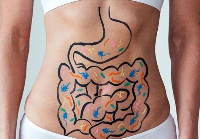 Probiotika für den Darm 